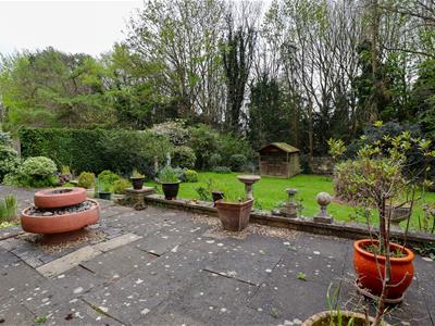 Picture 19